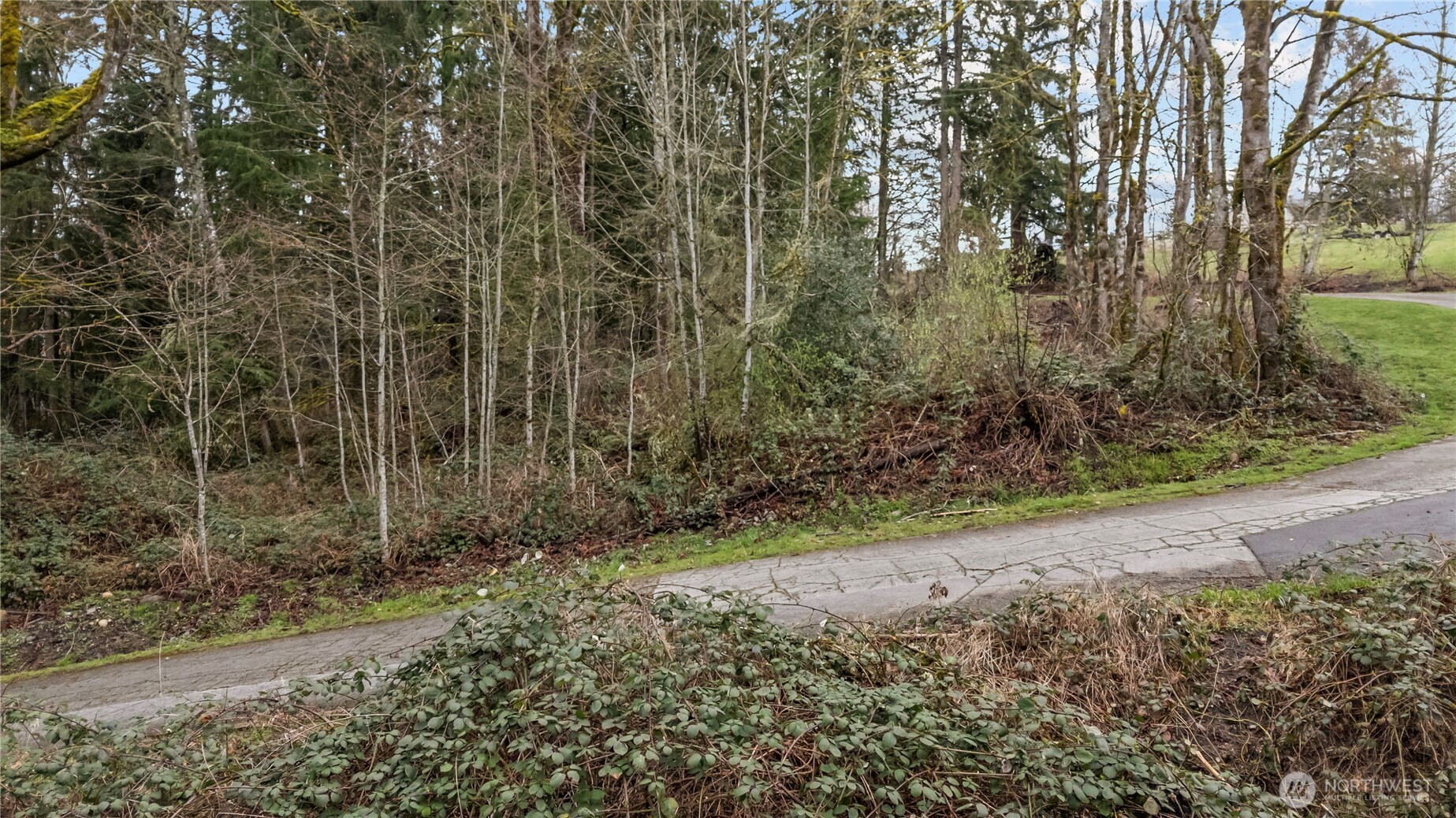 259 272nd Avenue SE Ravensdale WA 98051
