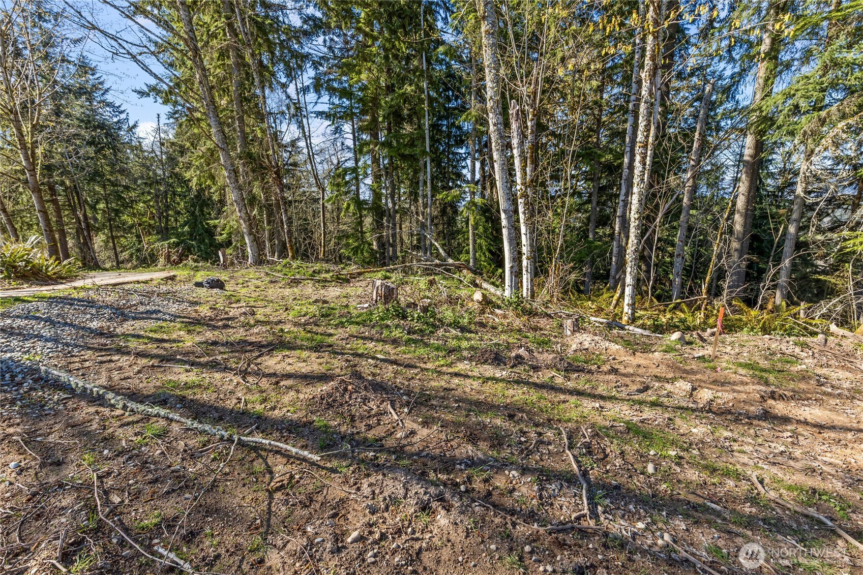 259 272nd Avenue SE Ravensdale WA 98051