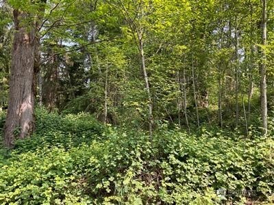 259 272nd Avenue SE Ravensdale WA 98051