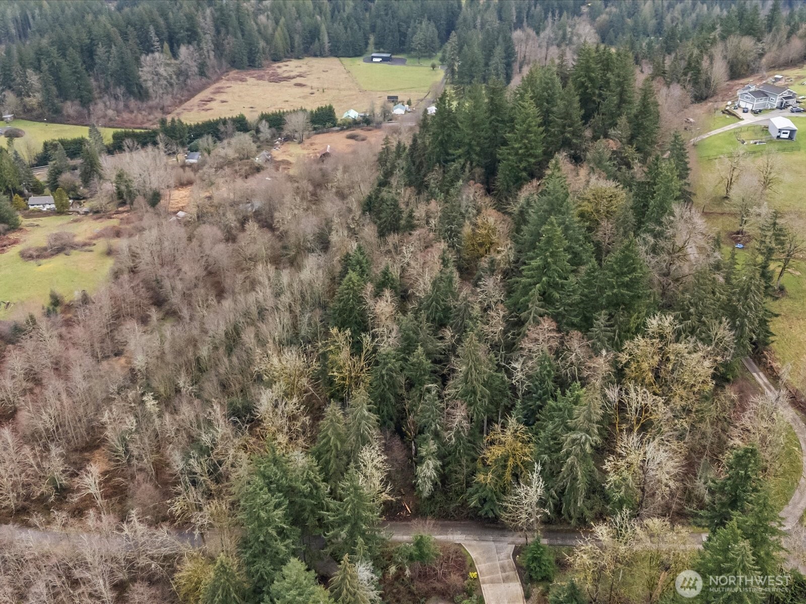 259 272nd Avenue SE Ravensdale WA 98051