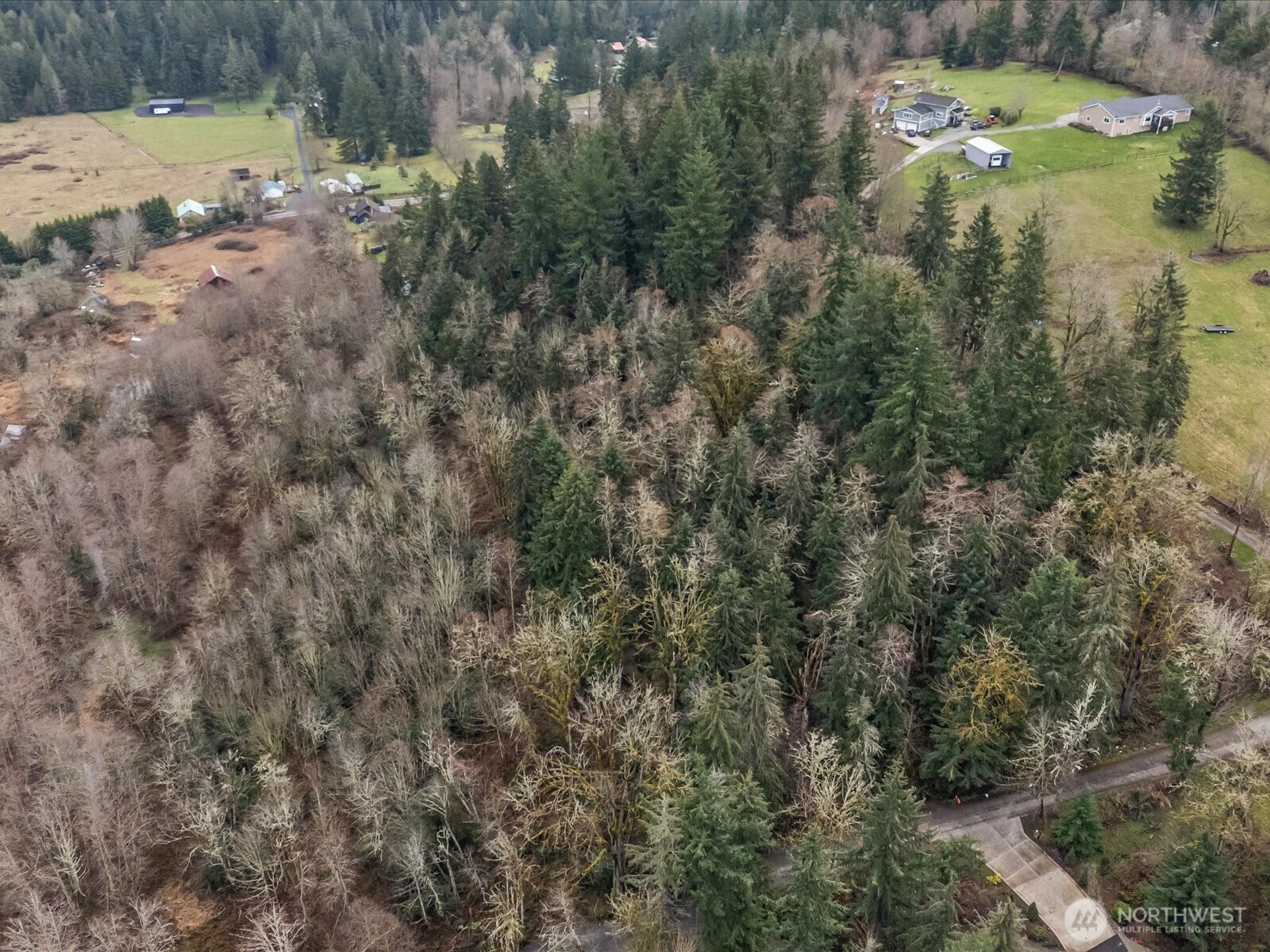 259 272nd Avenue SE Ravensdale WA 98051