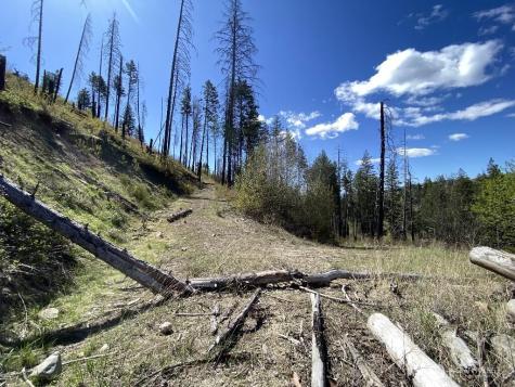 123 Buzzard Lake Road Okanogan WA 98840