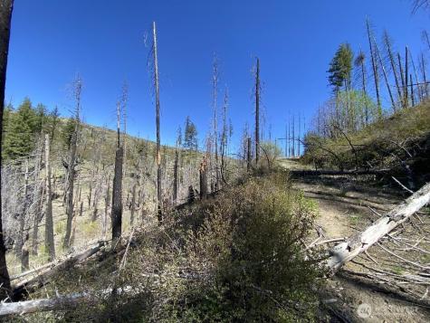 123 Buzzard Lake Road Okanogan WA 98840