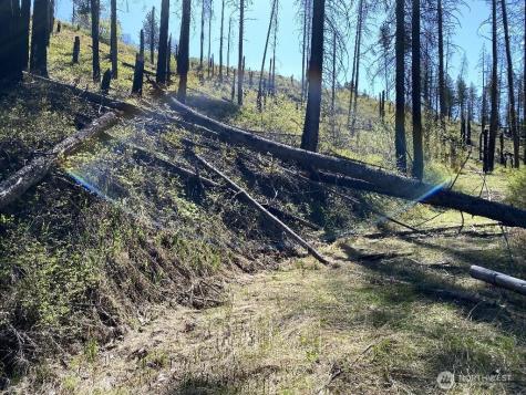123 Buzzard Lake Road Okanogan WA 98840