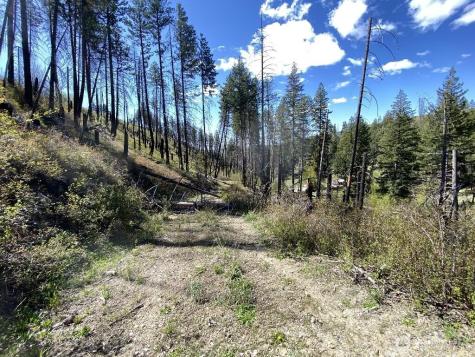 123 Buzzard Lake Road Okanogan WA 98840
