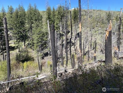123 Buzzard Lake Road Okanogan WA 98840