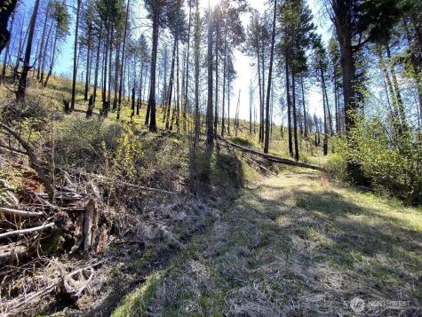 123 Buzzard Lake Road Okanogan WA 98840