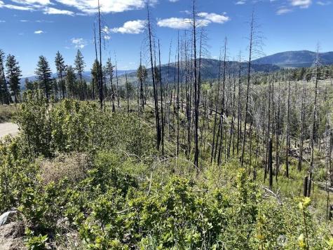 123 Buzzard Lake Road Okanogan WA 98840