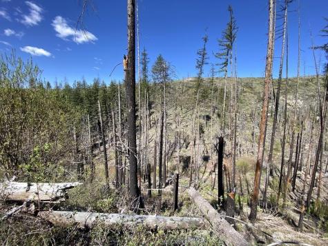 123 Buzzard Lake Road Okanogan WA 98840