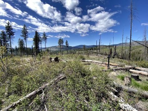 123 Buzzard Lake Road Okanogan WA 98840