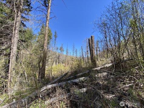 123 Buzzard Lake Road Okanogan WA 98840