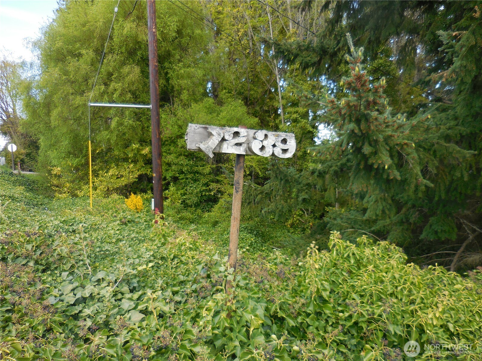 1239 Colchester Drive E Port Orchard WA 98366