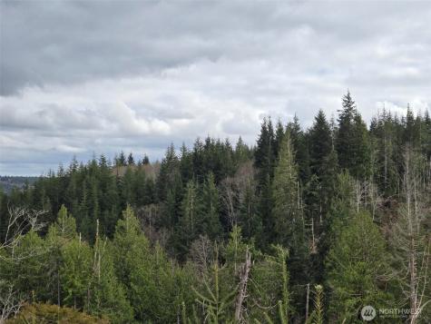 0 Hoquiam Wishkah Road Hoquiam WA 98550