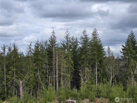 0 Hoquiam Wishkah Road Hoquiam WA 98550