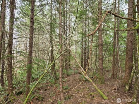 0 Hoquiam Wishkah Road Hoquiam WA 98550