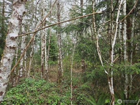 0 Hoquiam Wishkah Road Hoquiam WA 98550