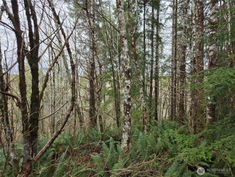 0 Hoquiam Wishkah Road Hoquiam WA 98550