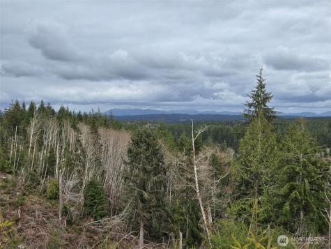 0 Hoquiam Wishkah Road Hoquiam WA 98550