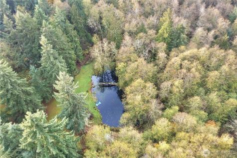 24124 94th Avenue E Graham WA 98338