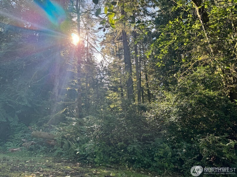 12408 93rd Street Anderson Island WA 98303