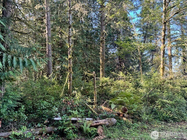 12408 93rd Street Anderson Island WA 98303