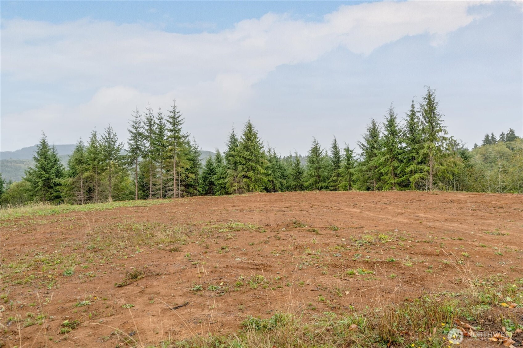 307 Greenwood Road Cathlamet WA 98612