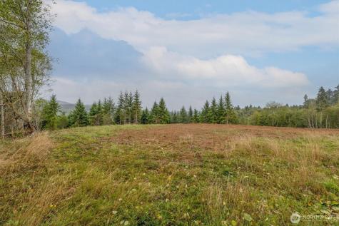 307 Greenwood Road Cathlamet WA 98612
