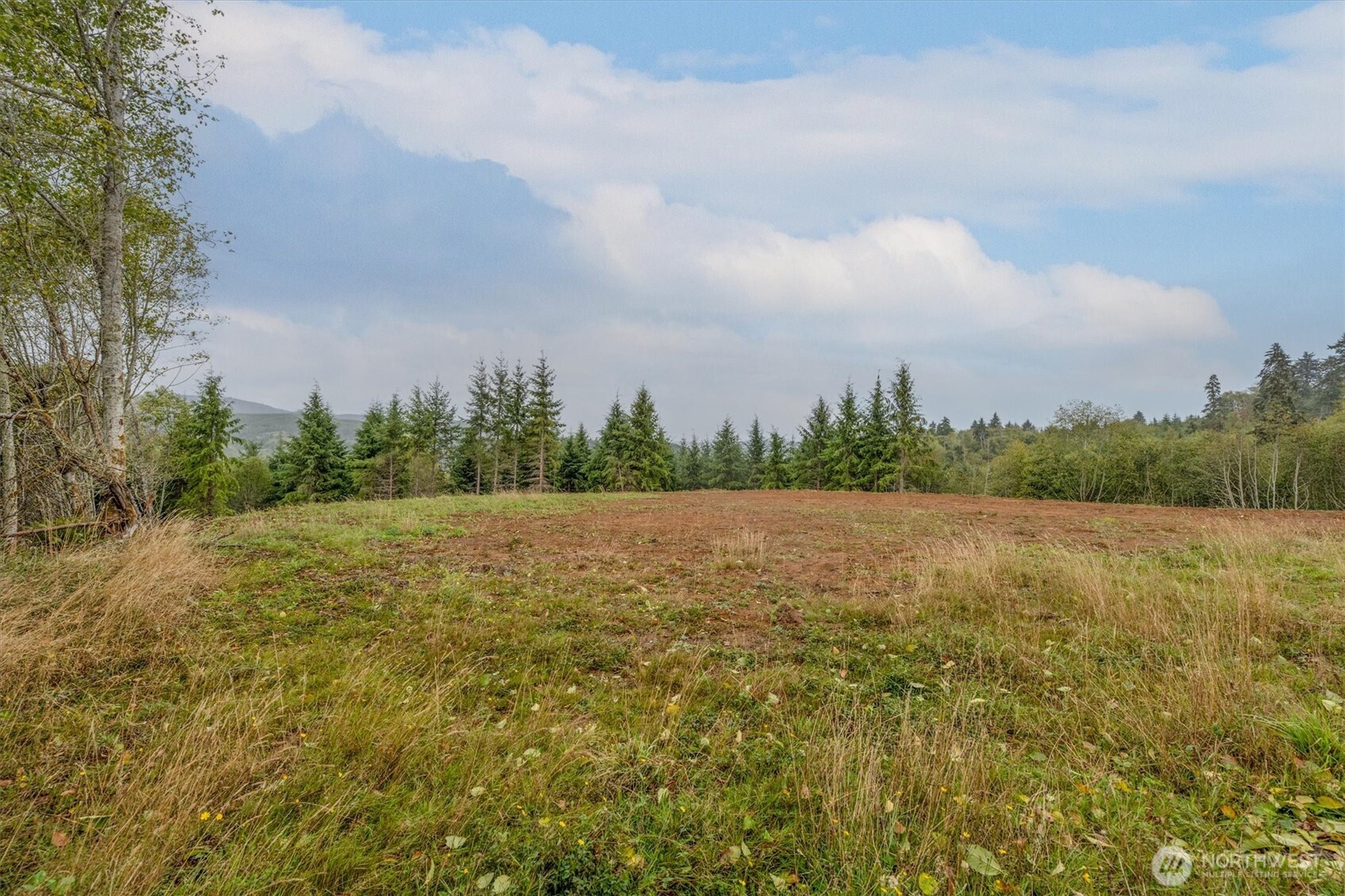 307 Greenwood Road Cathlamet WA 98612