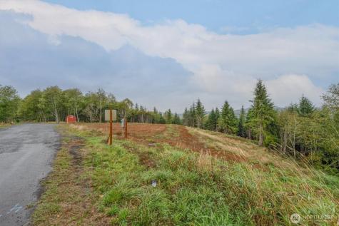 307 Greenwood Road Cathlamet WA 98612
