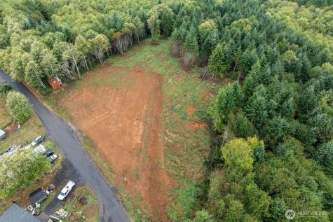 307 Greenwood Road Cathlamet WA 98612