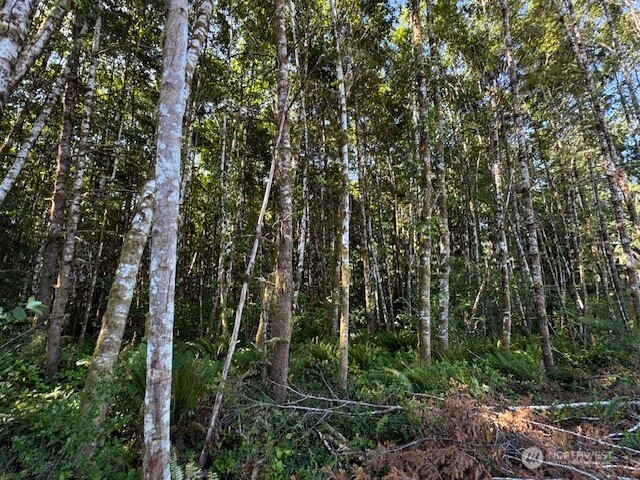 0 Nelson Road Winlock WA 98596