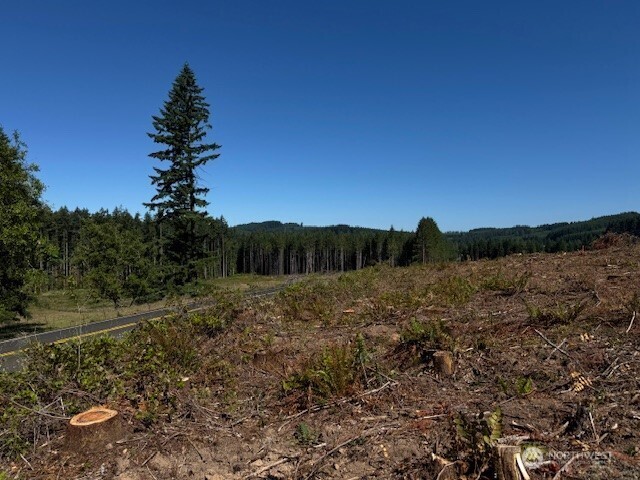 0 Nelson Road Winlock WA 98596