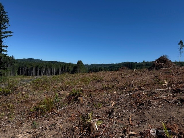 0 Nelson Road Winlock WA 98596
