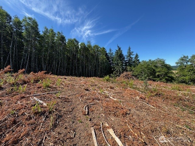 0 Nelson Road Winlock WA 98596