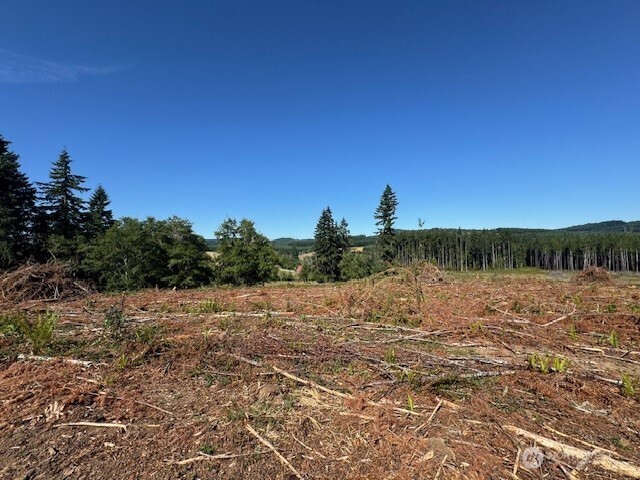 0 Nelson Road Winlock WA 98596