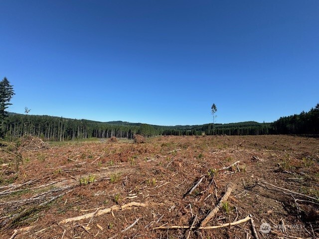 0 Nelson Road Winlock WA 98596