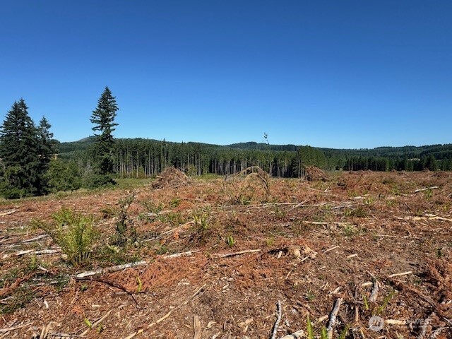 0 Nelson Road Winlock WA 98596