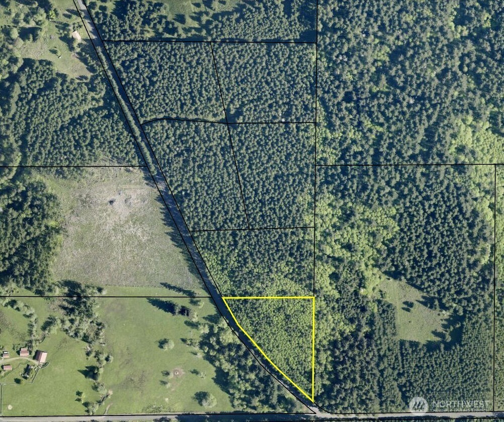 0 Nelson Road Winlock WA 98596