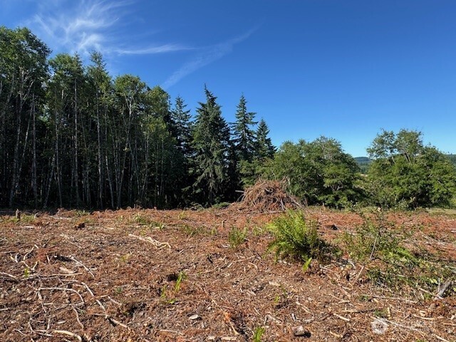 0 Nelson Road Winlock WA 98596
