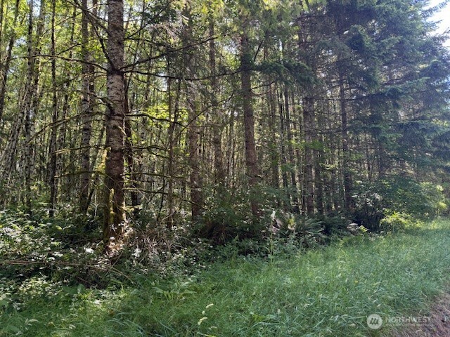 0 Nelson Road Winlock WA 98596