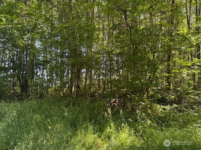 0 Nelson Road Winlock WA 98596