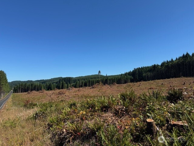 0 Nelson Road Winlock WA 98596
