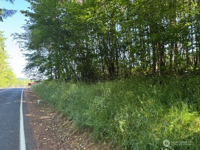 0 Nelson Road Winlock WA 98596