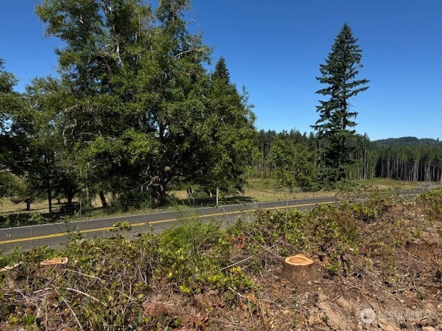 0 Nelson Road Winlock WA 98596