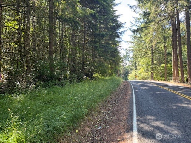 0 Nelson Road Winlock WA 98596