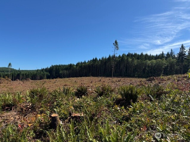 0 Nelson Road Winlock WA 98596