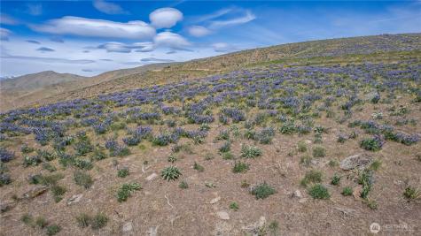 0 Burch Mountain Road Wenatchee WA 98801