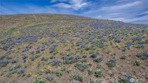 0 Burch Mountain Road Wenatchee WA 98801