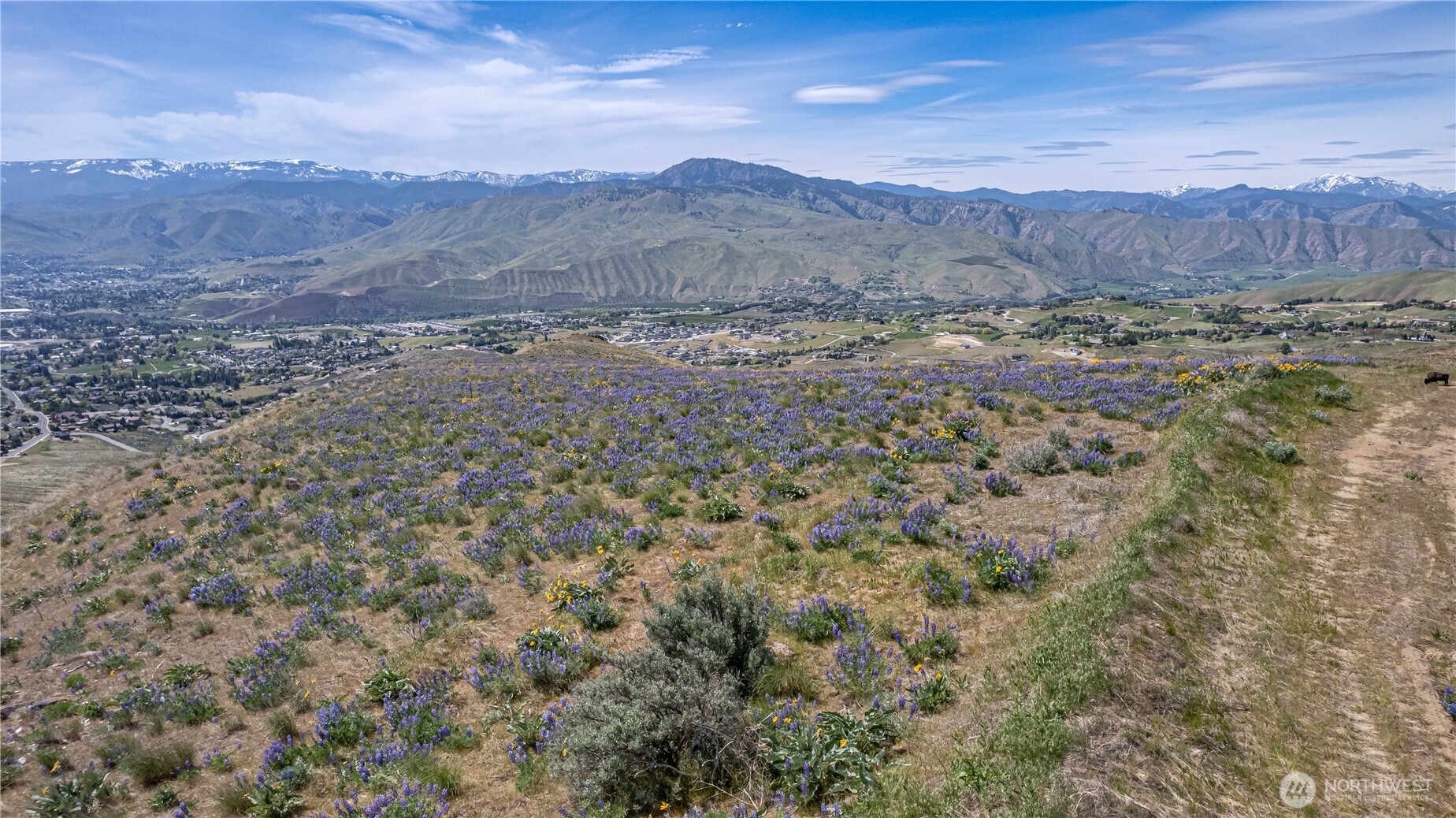 0 Burch Mountain Road Wenatchee WA 98801