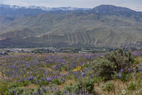 0 Burch Mountain Road Wenatchee WA 98801